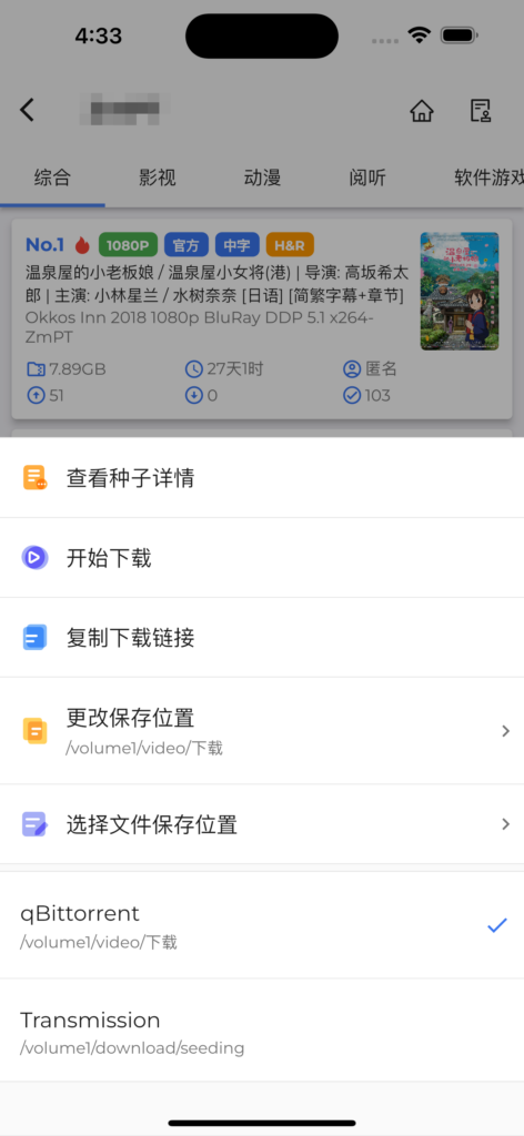 Pocket Qt 下载选项页面